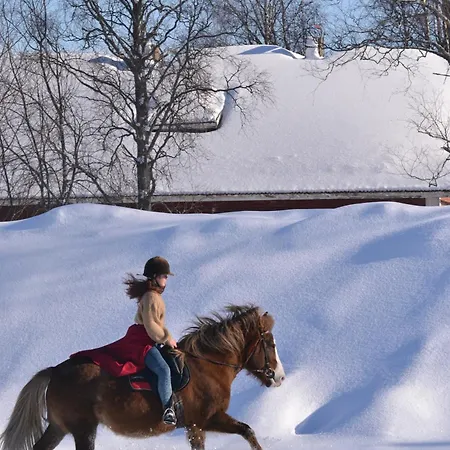 Idyllic Peltola 木屋