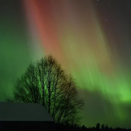 Idyllic Peltola 木屋 拉努阿
