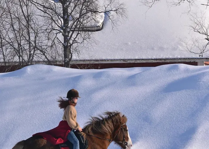 Idyllic Peltola 샬레