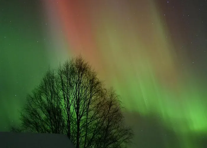 Idyllic Peltola 샬레 라누아